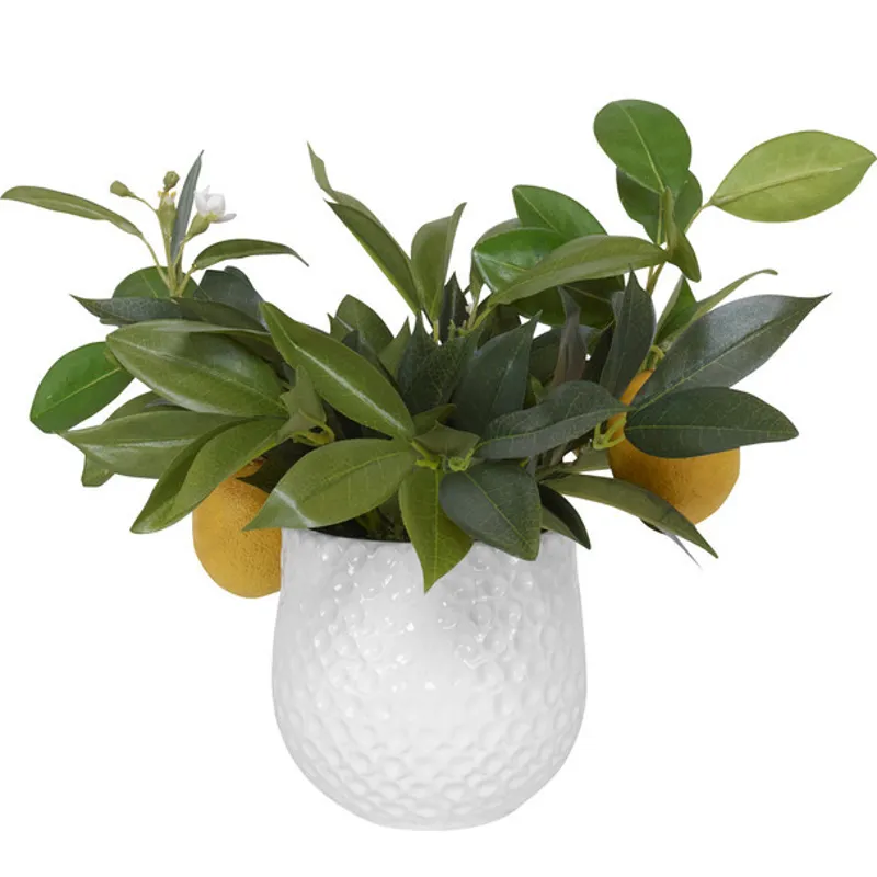 Positano Lemon In White Pot