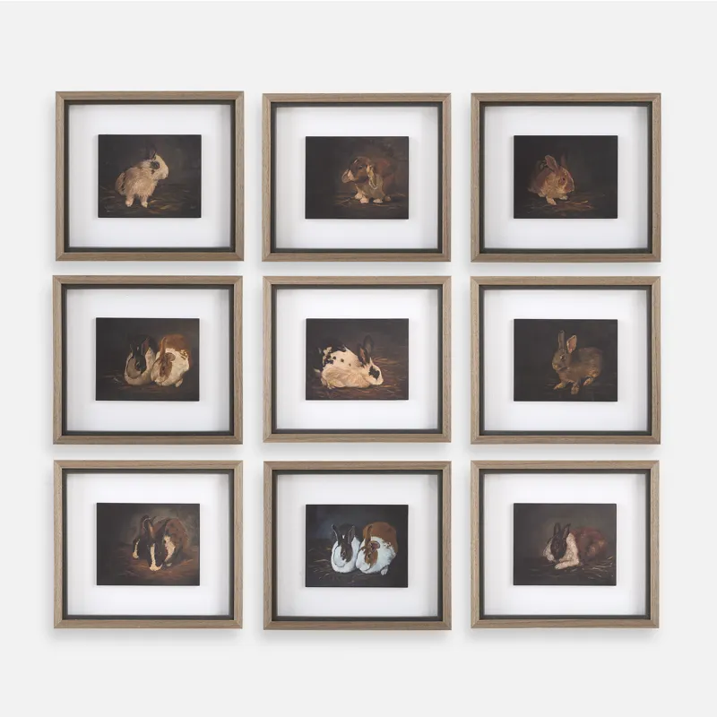 Resting Bunny Framed Prints Set/9