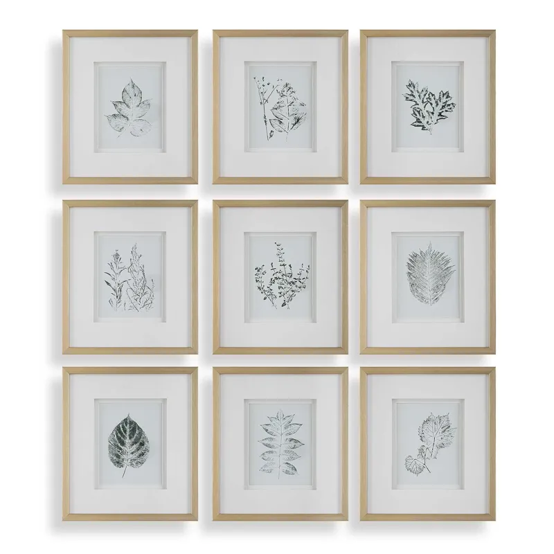 Nature\'s Script Framed Botanical Prints Set/9