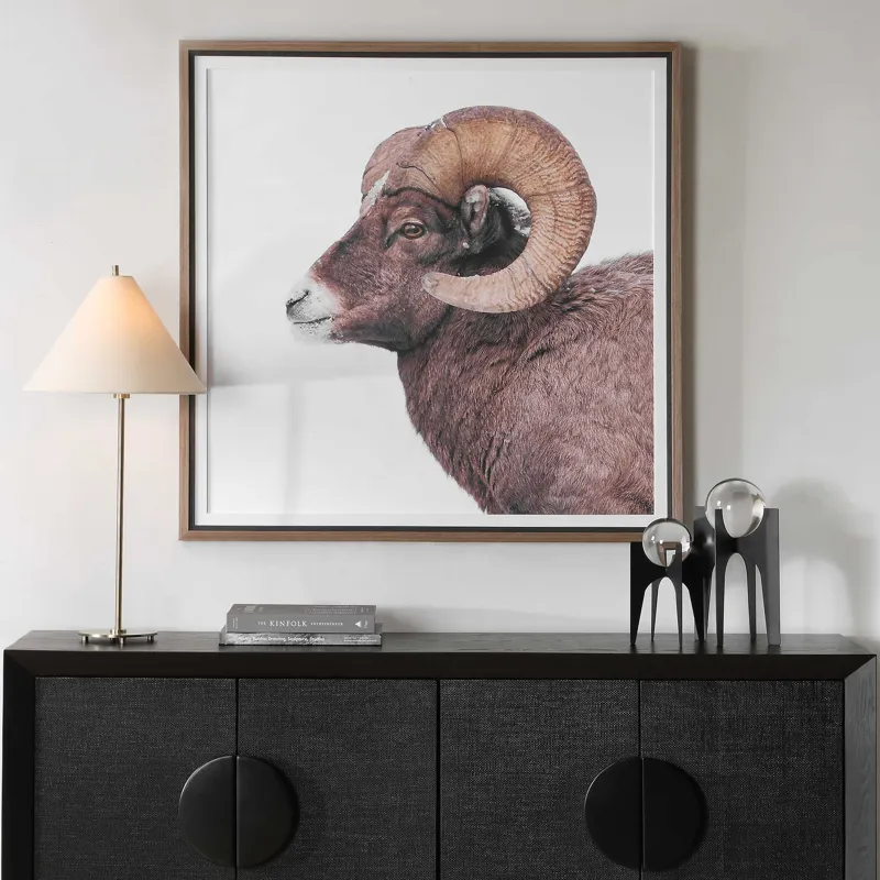 Big Horn Sheep Framed Print