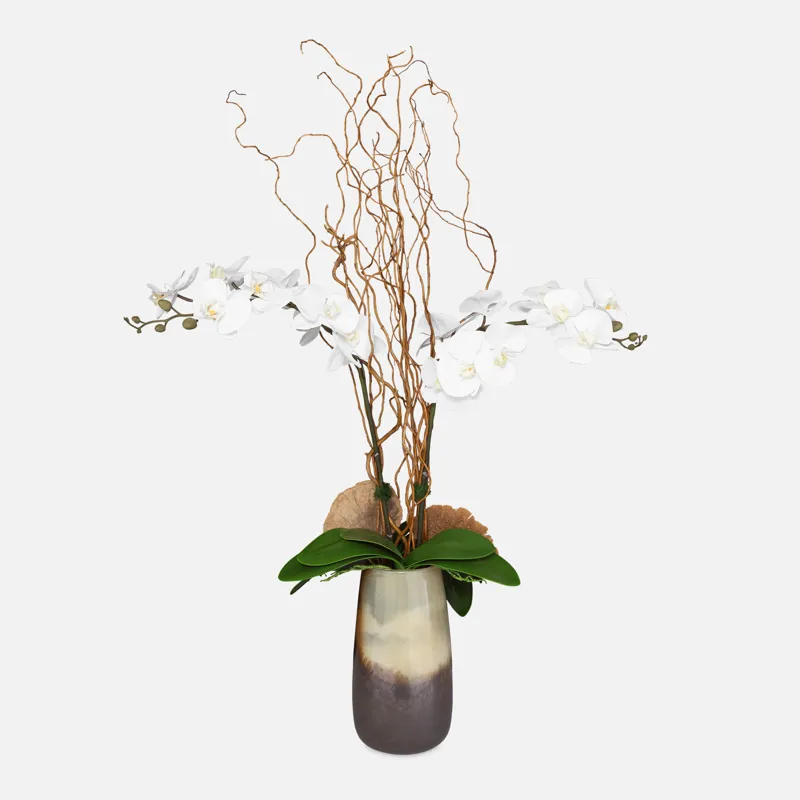 Earthbound Orchid With Vase