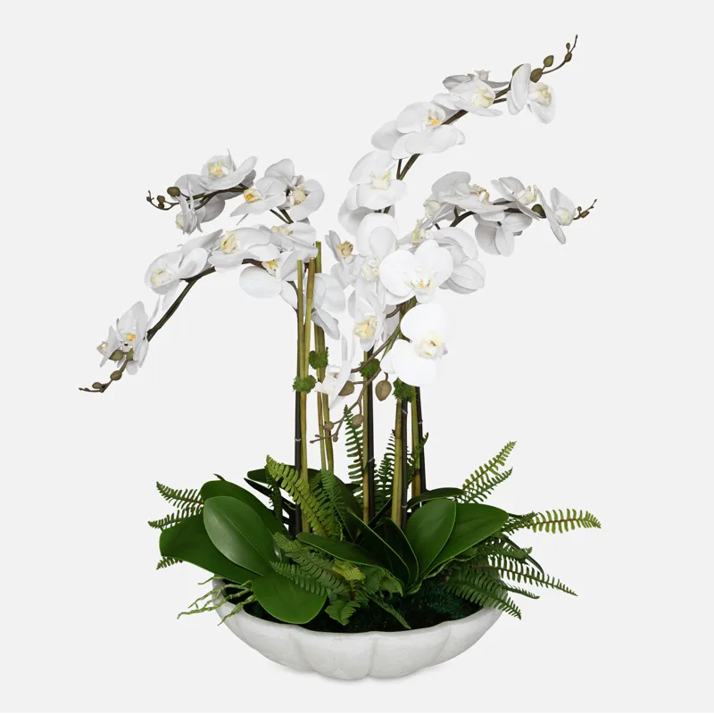 Flourish Orchid Centerpiece