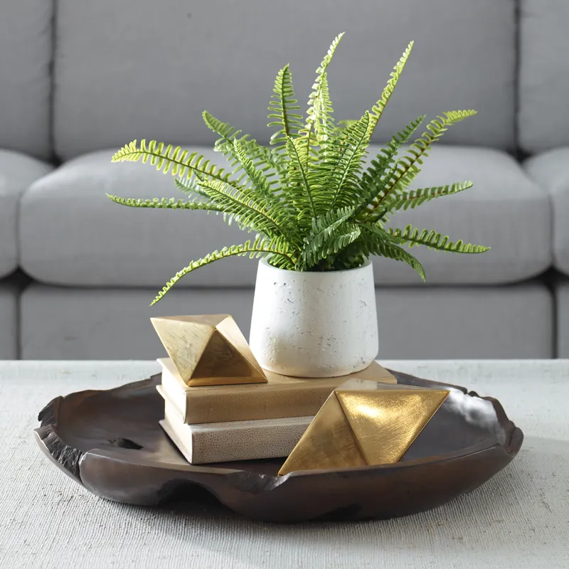 Boston Fern In White Ceramic Pot