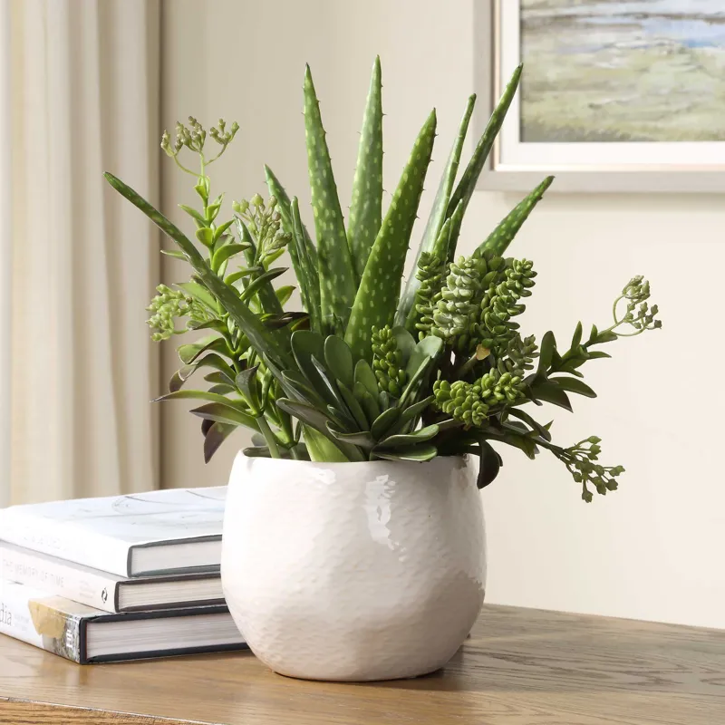 Sundown Succulent Accent Planter