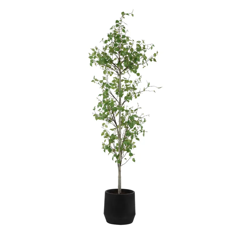 Boreal Potted Birch Tree