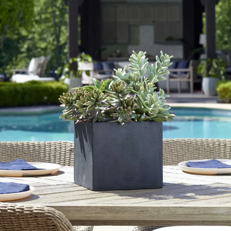 Greystone Indoor-Outdoor Succulent
