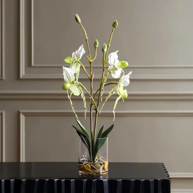 Lady Slipper Orchid In Glass Vase