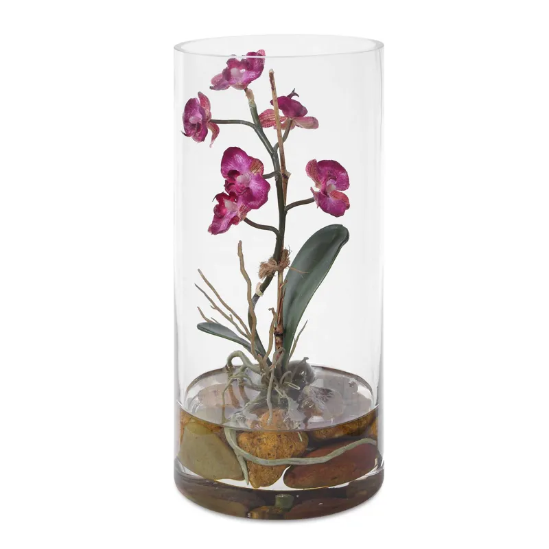 Mariposa Fuchsia Orchid
