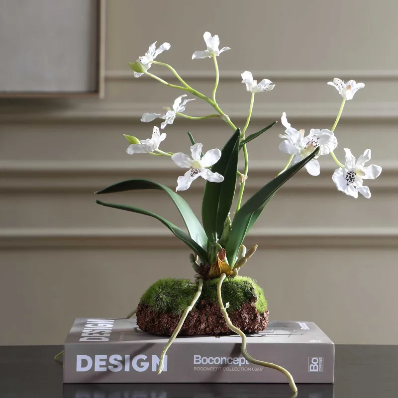 Clovis Orchid Drop-In