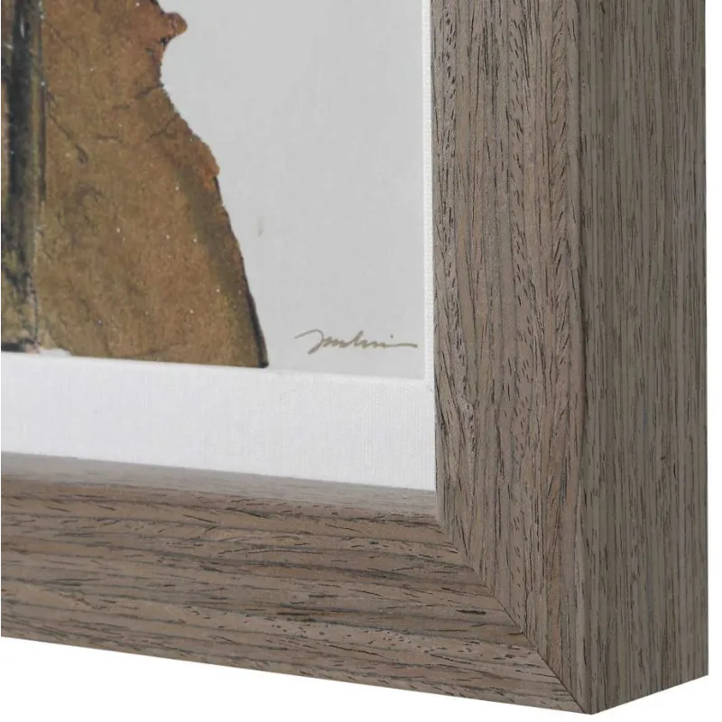 Garden Study Framed Floral Prints, S/2