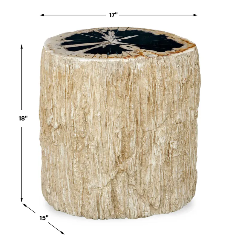 Arco Petrified Wood Top Accent Table