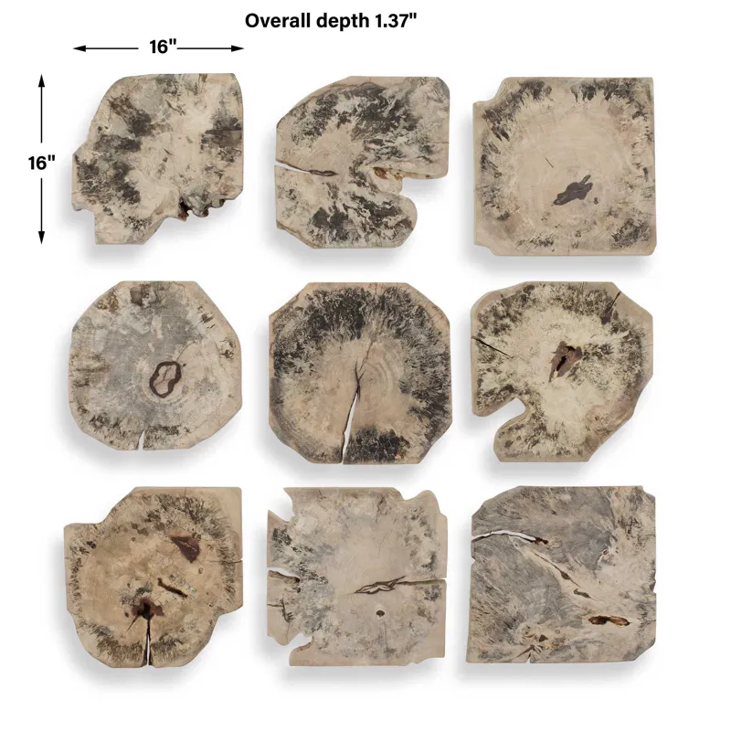 Bahati Wood Bleached Wall Decor Set/9