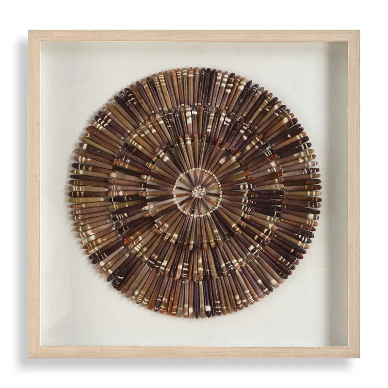 Tiger Sea Urchin Shadow Box