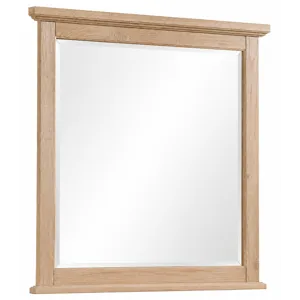 BB Jamestown Oak-Bleached Small Landscape Mirror