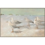 Sea Bird Huddle