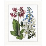 Vintage Flora 3
