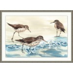 Sandpiper Wave 1