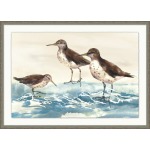 Sandpiper Wave 2