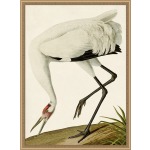 Oiseau 2