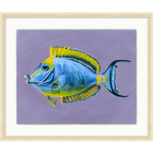 Tropical Fish Portrait 2