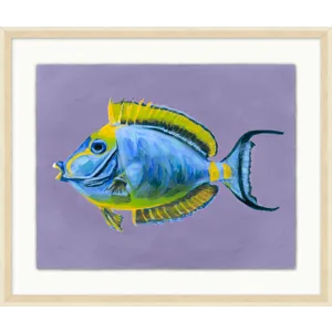 Tropical Fish Portrait 2