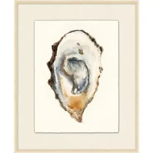 Oyster 3