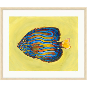 Tropical Fish Portrait 1