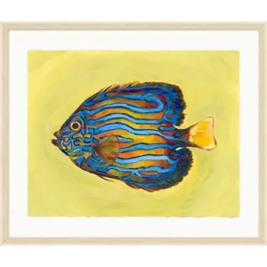 Tropical Fish Portrait 1
