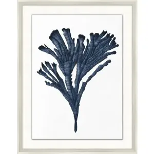 Indigo Coral 5