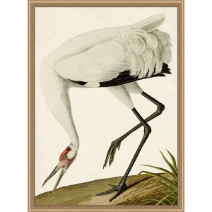 Oiseau 2