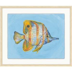 Tropical Fish Portrait 4