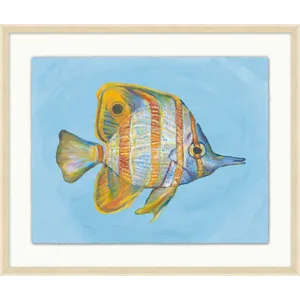 Tropical Fish Portrait 4