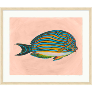 Tropical Fish Portrait 3