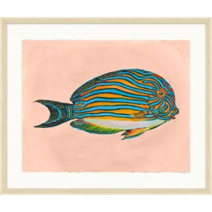 Tropical Fish Portrait 3