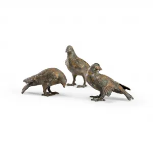 Pigeons (set 3)