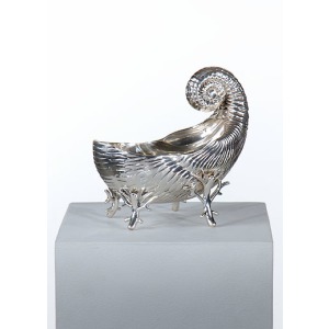 Shell Dish
