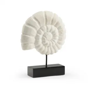 Nautilus