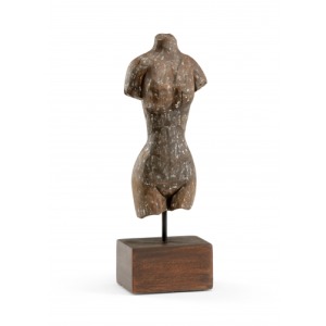 Torso