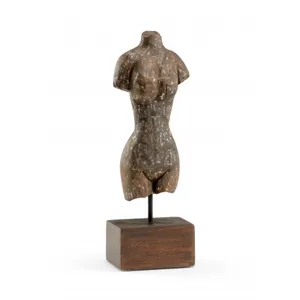 Torso