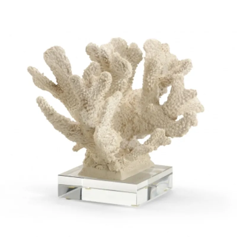 Coral Specimen