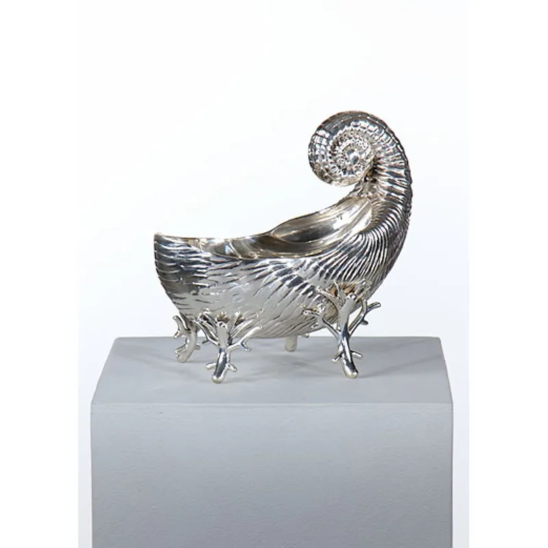 Shell Dish