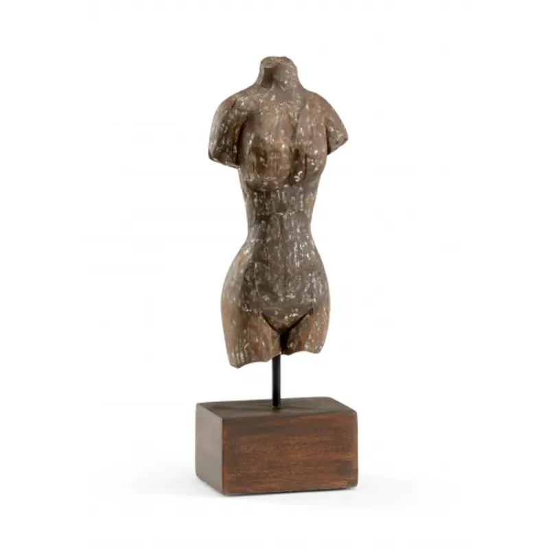Torso