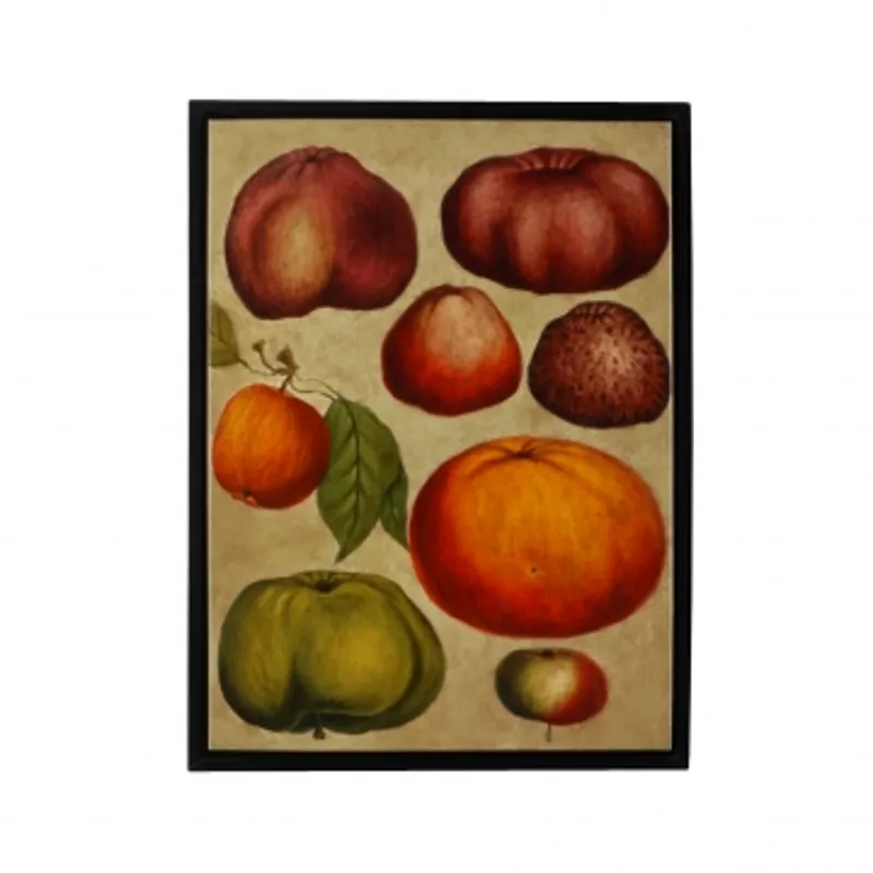 Fruit Study